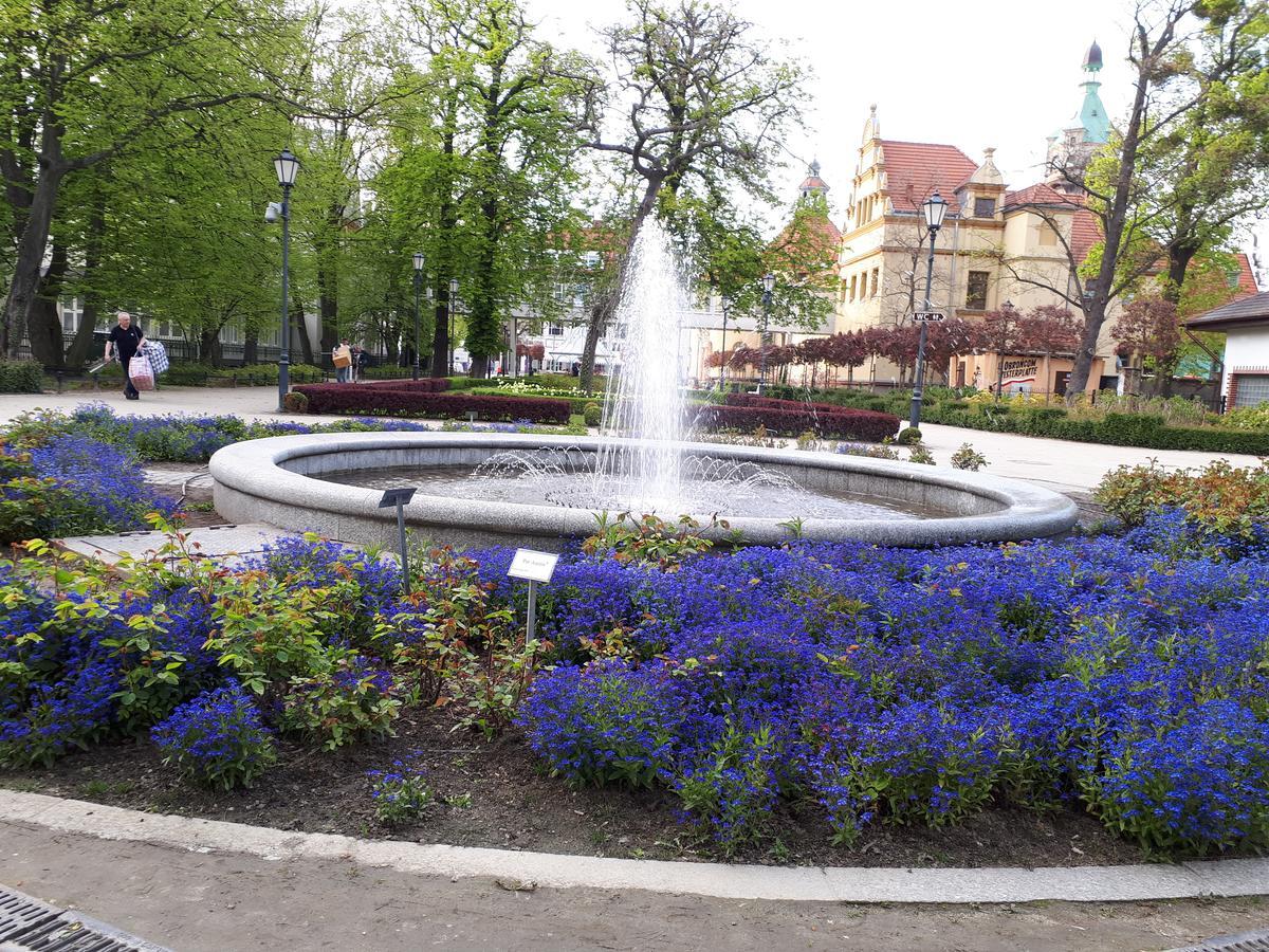 Kierunek Sopot Apartament Weranda Haffnera 32 外观 照片